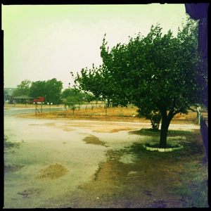 Hip 335036456.624205