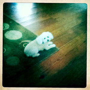 Hip 332608456.846757