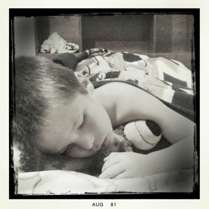 Hip 335412068.375239