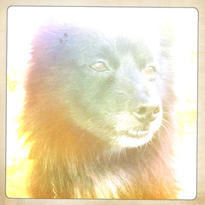 Hip 335412375.754360