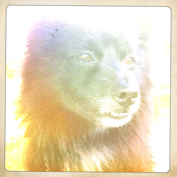 Hip 335412375.754360