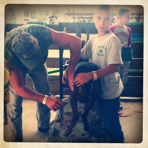 Hip 334356530.857477