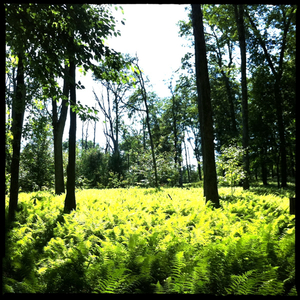 Hip 332540995.304695