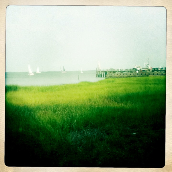 Hip 334101796.314308