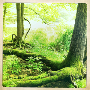 Hip 329603645.607568