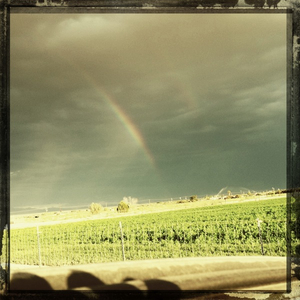 Hip 334979243.424497