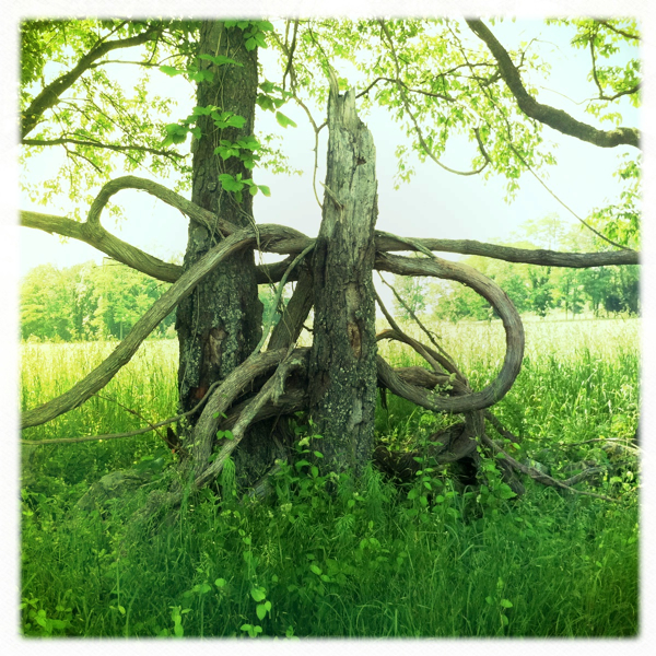 Hip 328474392.671869