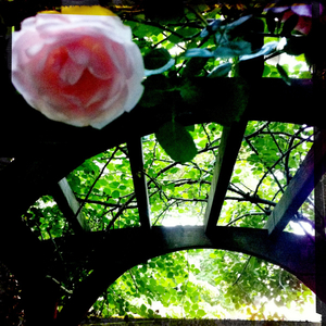 Hip 328752230.388241