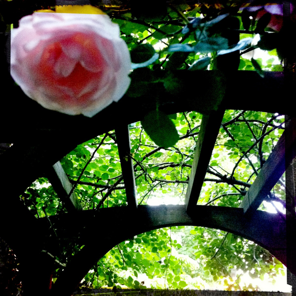 Hip 328752230.388241