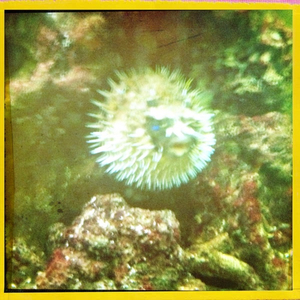 Hip 334373257.234069