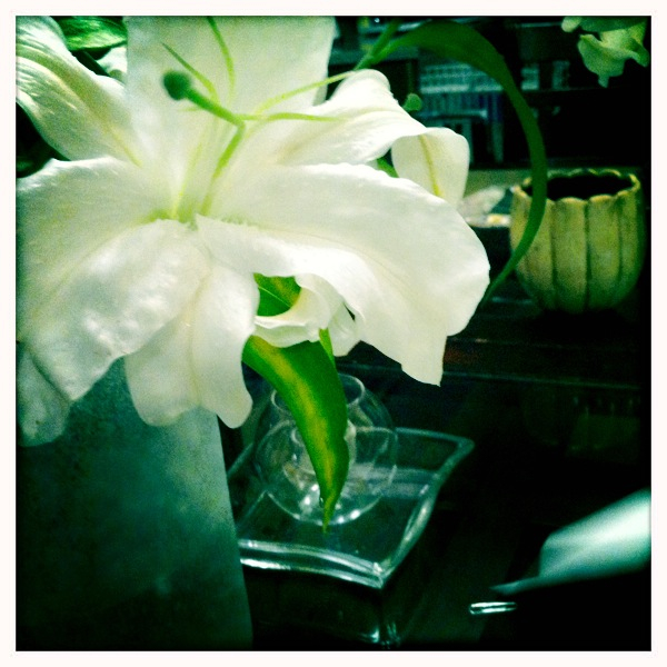 Hip 335415621.944324