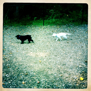 Hip 334791030.577179