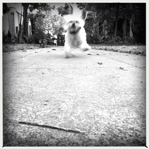 Hip 334634819.428488