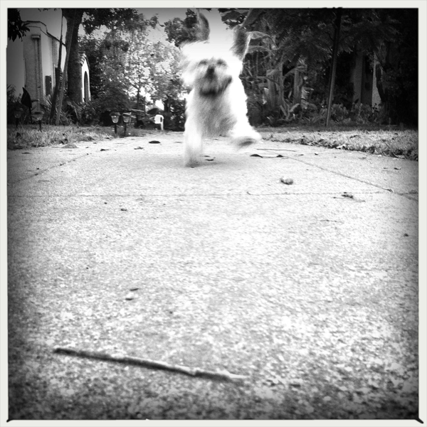 Hip 334634819.428488