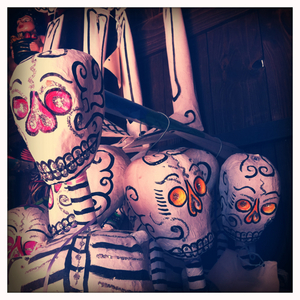 Hip 328480779.748775