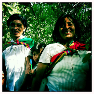 Hip 329520357.113636