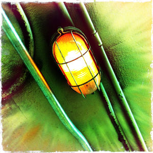 Hip 334554271.074704