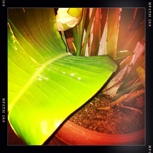 Hip 330844223.102639