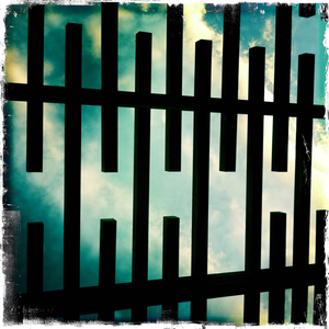 Hip 335404129.284091