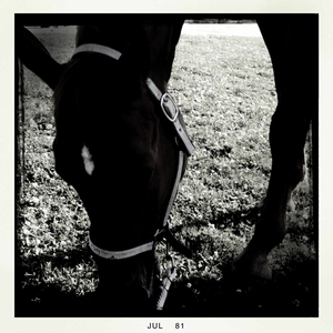 Hip 331856134.564788