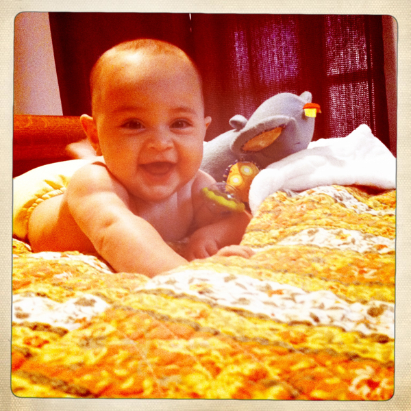 Hip 335142029.555512