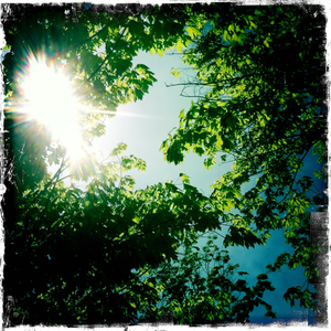 Hip 326663616.244232