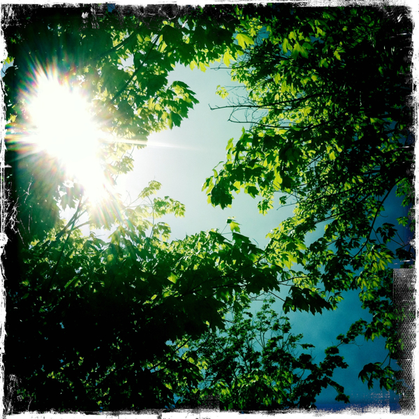 Hip 326663616.244232