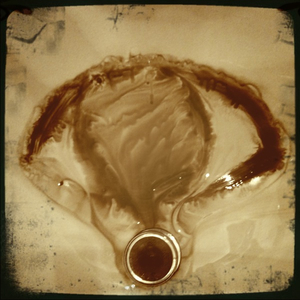 Hip 305679443.171492