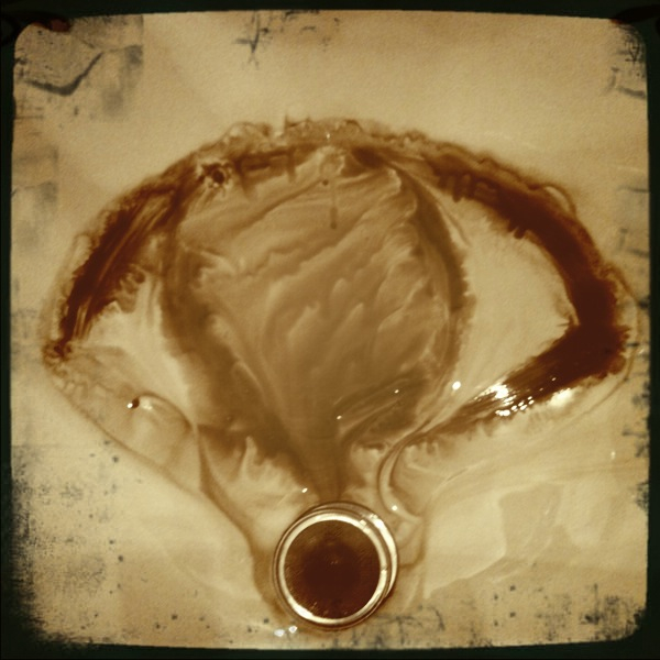 Hip 305679443.171492