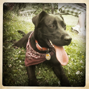 Hip 333071590.944324