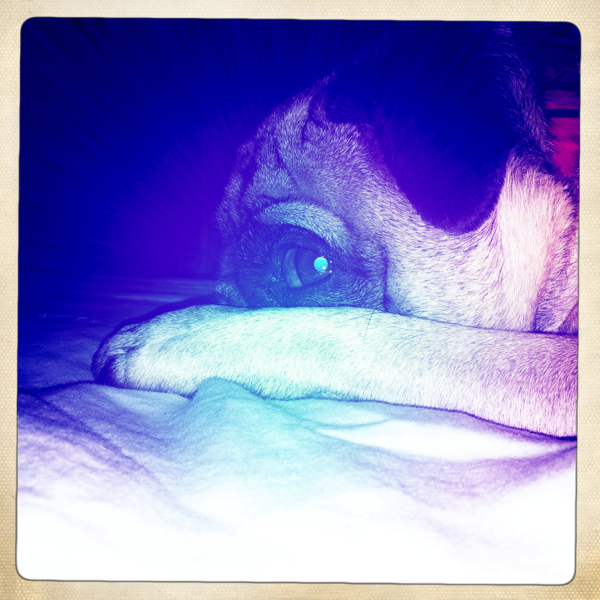 Hip 335426841.713258