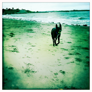 Hip 333568965.514574