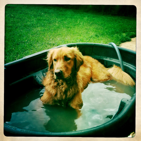 Hip 327440022.253534