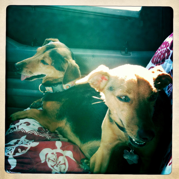 Hip 325725616.890978