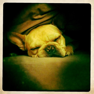 Hip 333431728.356804