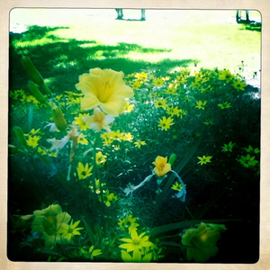 Hip 331051336.185189