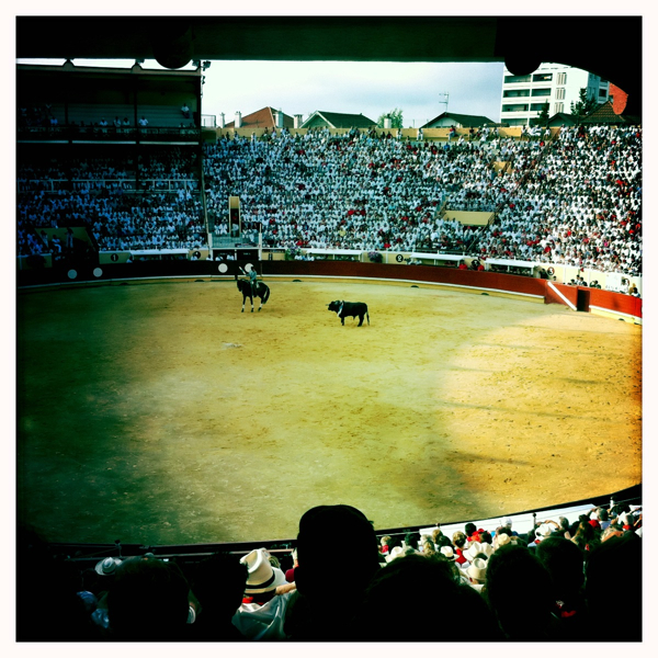 Hip 333740113.978900