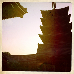 Hip 334662428.475289