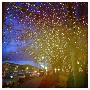 Hip 335433379.100721