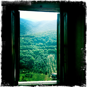 Hip 333617785.381159