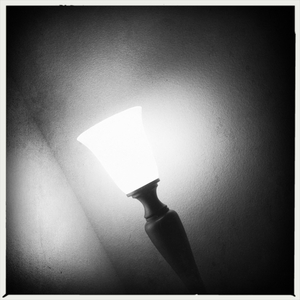 Hip 331352442.982993