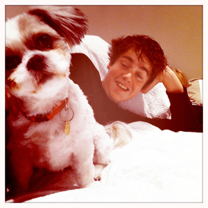 Hip 335365461.262135