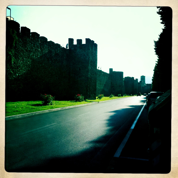 Hip 335376184.693847