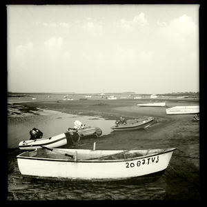 Hip 334780616.378425