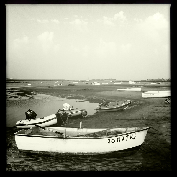 Hip 334780616.378425