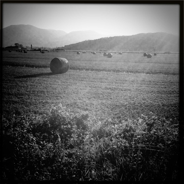 Hip 335378935.784175