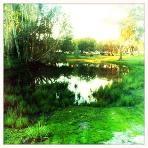 Hip 335438631.715432