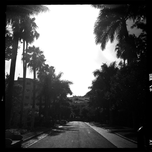 Hip 332962567.588712