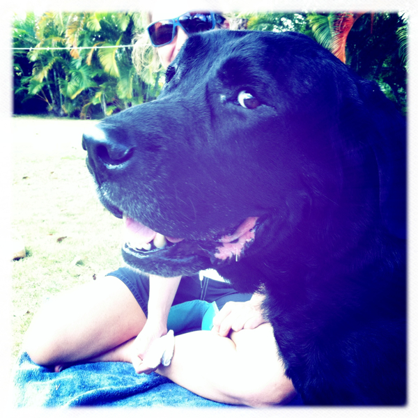 Hip 335407768.212121