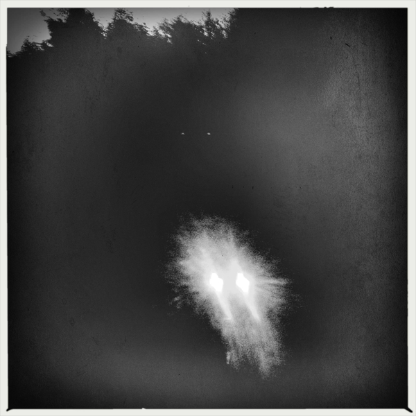 Hip 333950798.221384